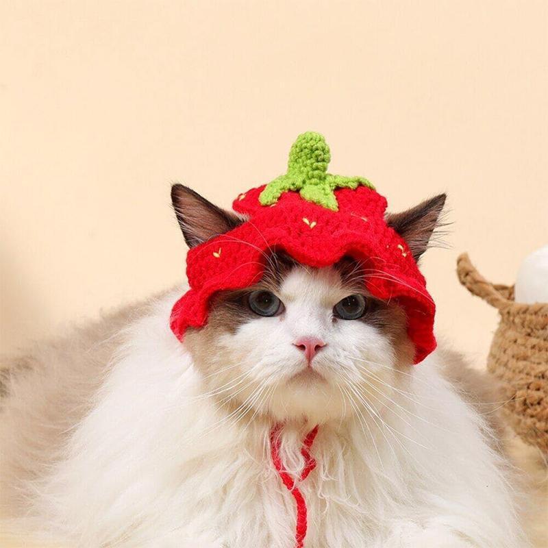 Product Introduction of Pet Knitted Hat Cat Hat With Ear Holes Cute Kitten And Dog Headgear Pet Cosplay Hat 21