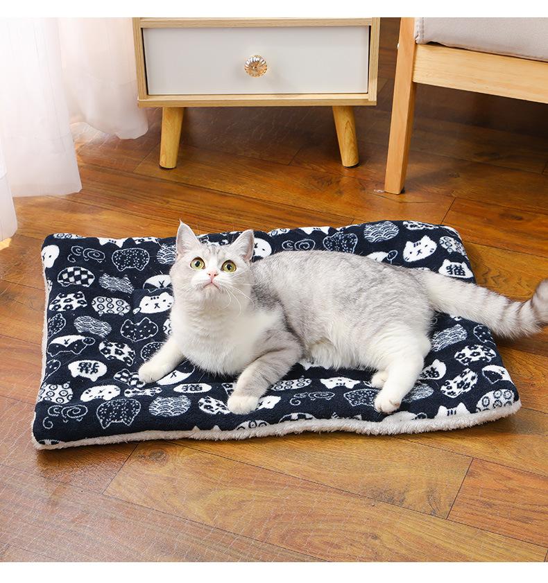 Product Introduction of Thickened Autumn and Winter Warm Floor Mat, Cat for Common Dogs Blanket Mat 15