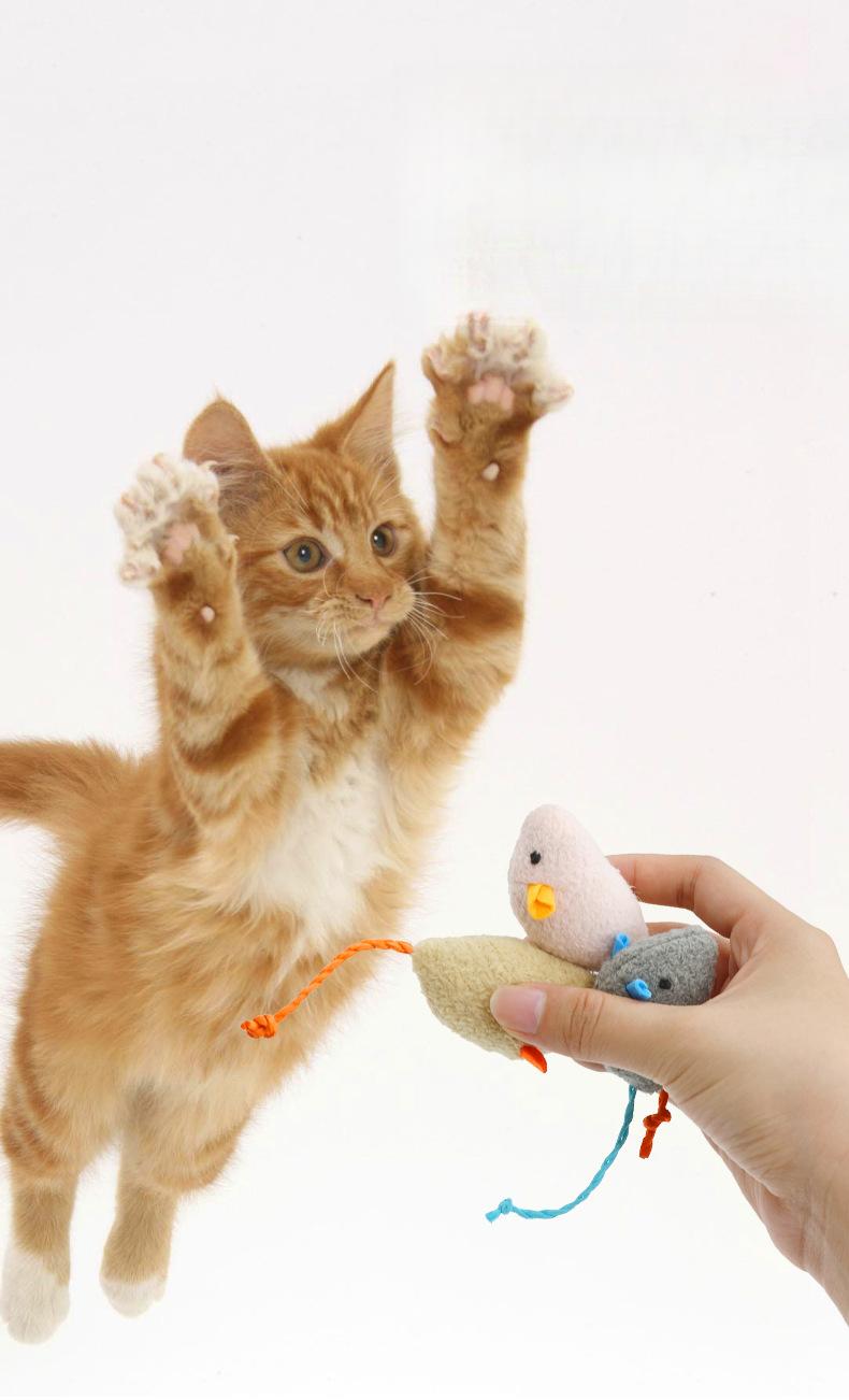 Product Introduction of 1X New Mint Toy Cat Toy Plush Herbal Mouse Cute Scratch-Resistant Interactive Pet Supplies 16