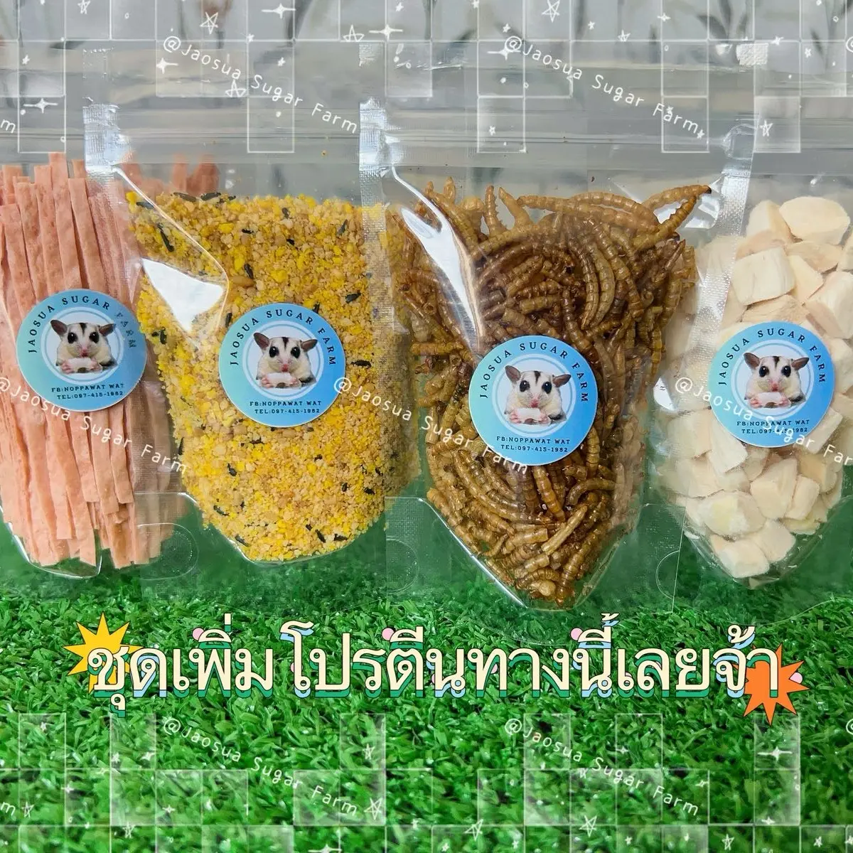 อาหารทานเล่นเพิ่มโปรตีน สำหรับ เม่นแคระ ชูการ์ แฮมสเตอร์ ฯลฯ