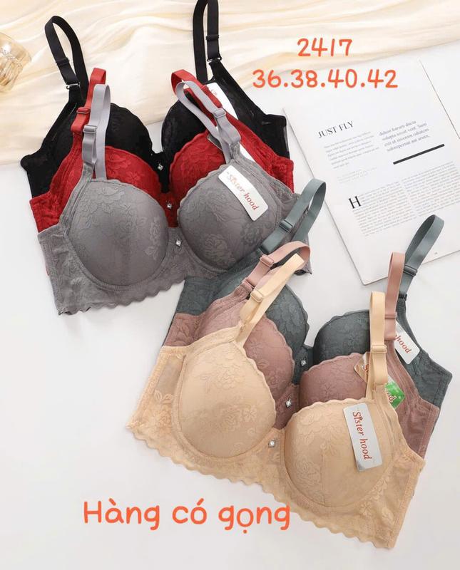 Áo Lót Có Gọng Đệm Mỏng Quả To Size Lớn Áo Ngực Ren Bản To Ngoại Cỡ Bigsize Cho Người Béo 2417 Women Nữ Beo