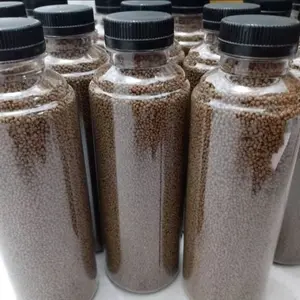 Pelet mikro botol besar isi full untuk ikan cupang, Guppy, molly dllnya