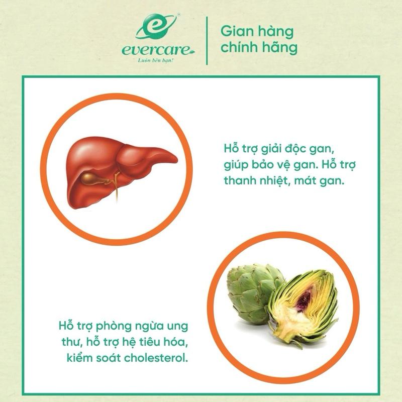 Combo 10 Hộp Trà Atiso túi lọc, trà LADOATS Actiso (Hộp 20 gói 2g gói), món quà sức khỏe từ thiên nhiên. 2