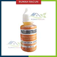 Gambar PACLOBUTRASOL HORMON PEMBUAHAN DI LUAR MUSIM 30 ML dari RUMAH RACUN Kab. Karanganyar 2 Tokopedia