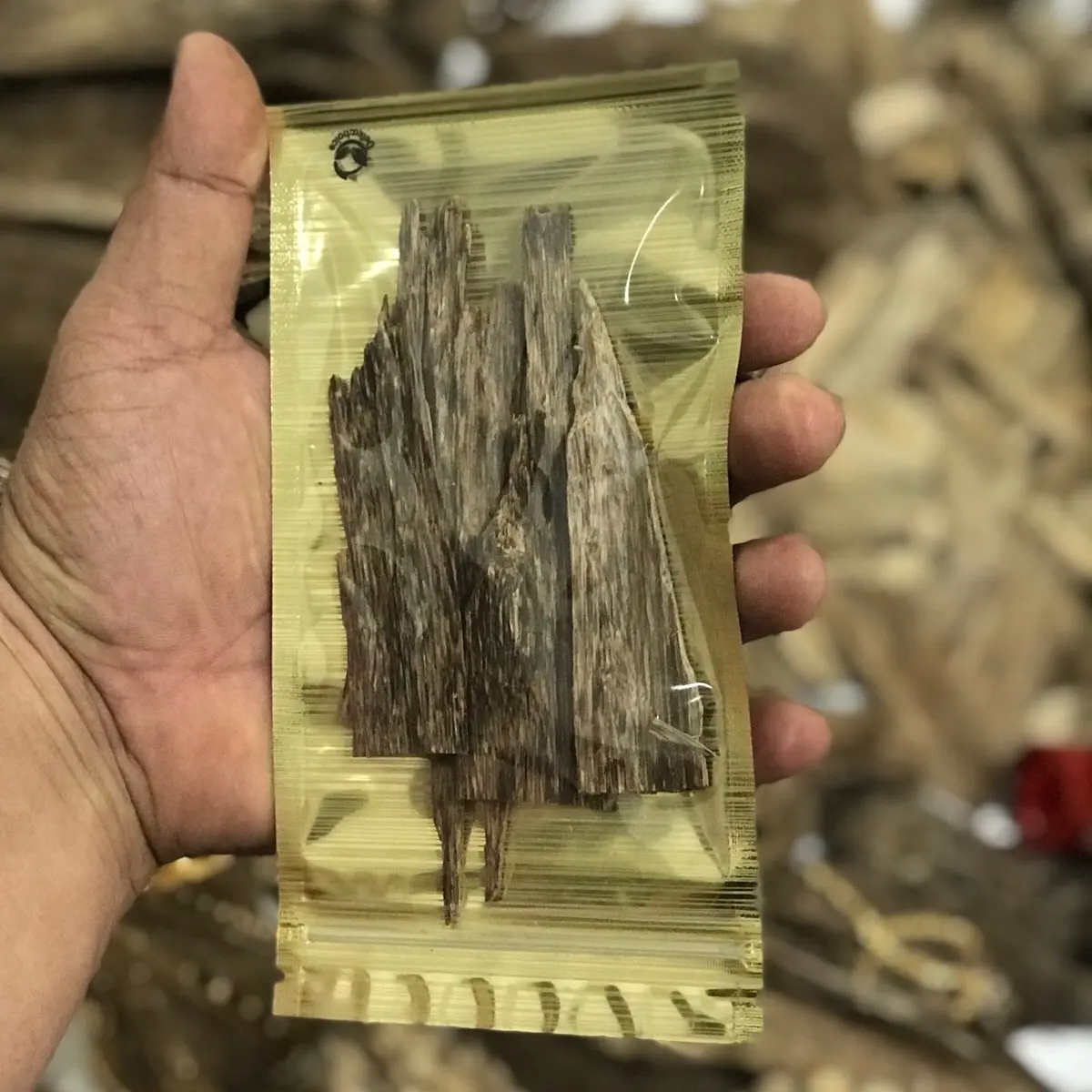 Skin Oud Tropis Premium
