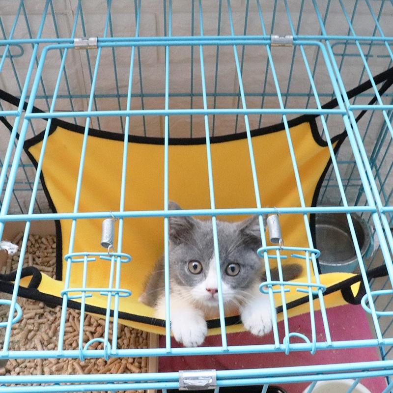 Product Introduction of Cat Hammock Bed Hanging Pet Cage Hammock Soft Cat House Cushion Mat Summer Cooling Pet Basket Tapestry Pet  Dog Bed 6