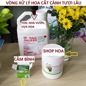 Cửa Hàng Dưỡng Hoa Tươi