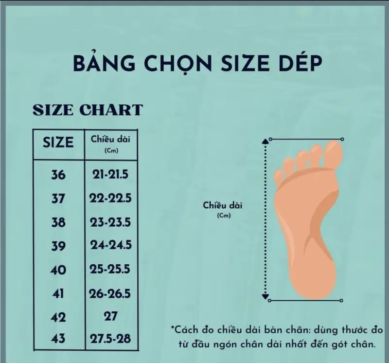 Dép bông quai ngang nhiều màu DéP Nữ DéP Nữ Slipper Women Có Quai 4