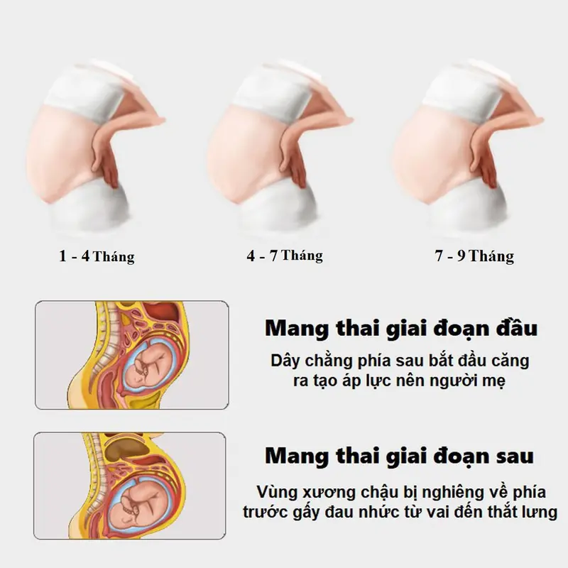 Đai Nâng Đỡ Bụng Bầu Cho Bà Bầu Trước Và Sau Sinh Chính Hãng miDoctor 6