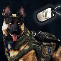 Gambar Kalung tactical anjing / kucing dogtags Army k9 UNIT FREE CUSTOM nama,alamat,gambar dll bebasSA MADE - 1 tags + 1 kalung pendek + 1 karet dari Alpha Tags Kab. Tangerang 1 Tokopedia