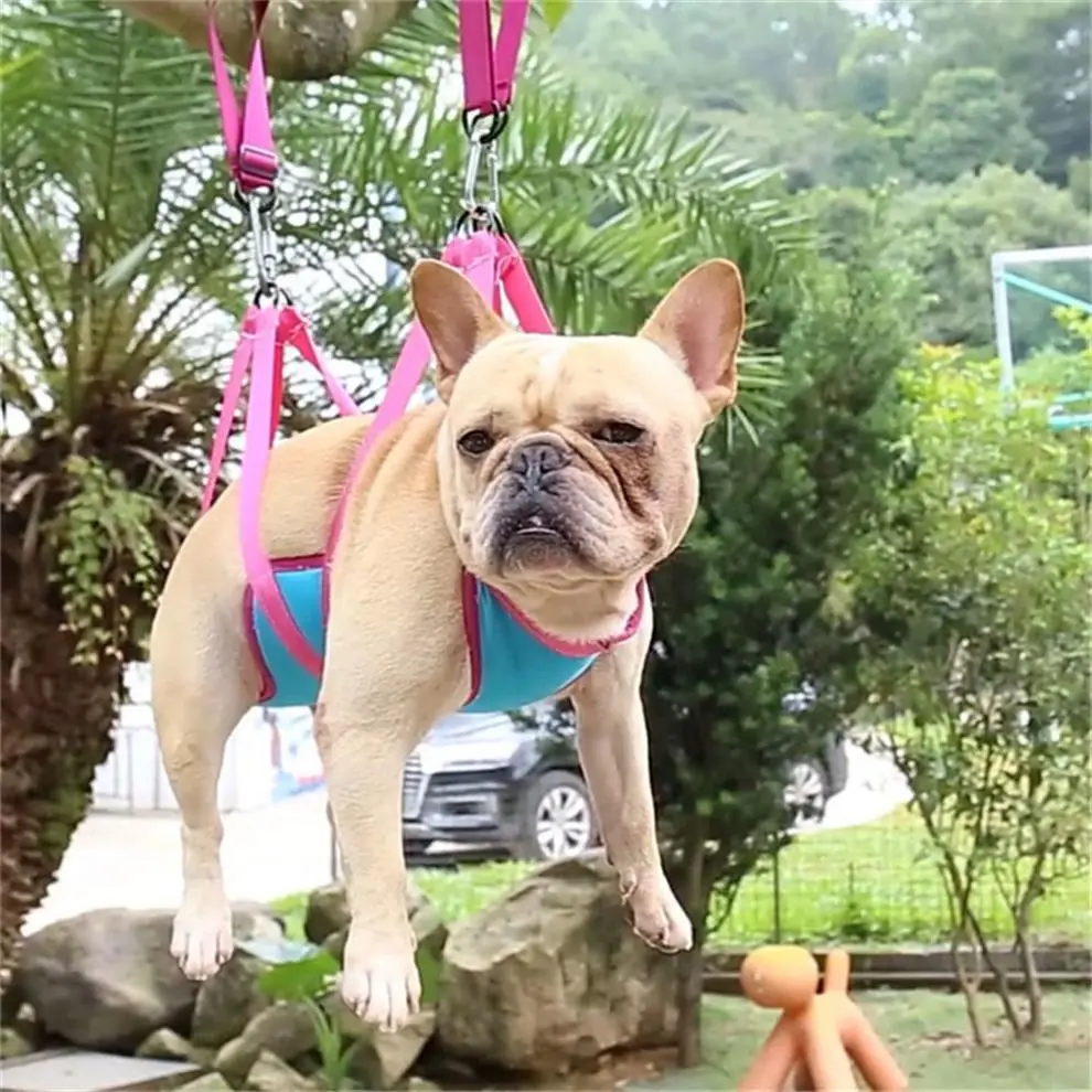Hanging Pet Hammock, Pet Nail Trimming Hammock, Durable Pet Grooming Hammock, Dog & Cat Grooming Accessories