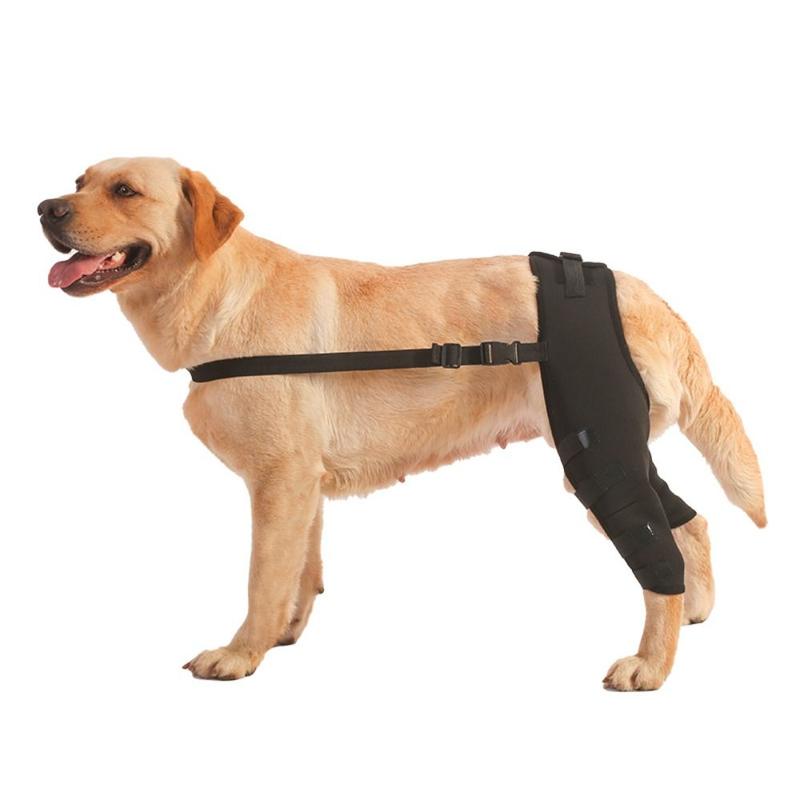 Practical Joint Injury Recovery Pet Knee Pad Knee Hip Joint Protect Torn Hind Leg Legs Protector Cloth 4Size Support Belt Pet 5