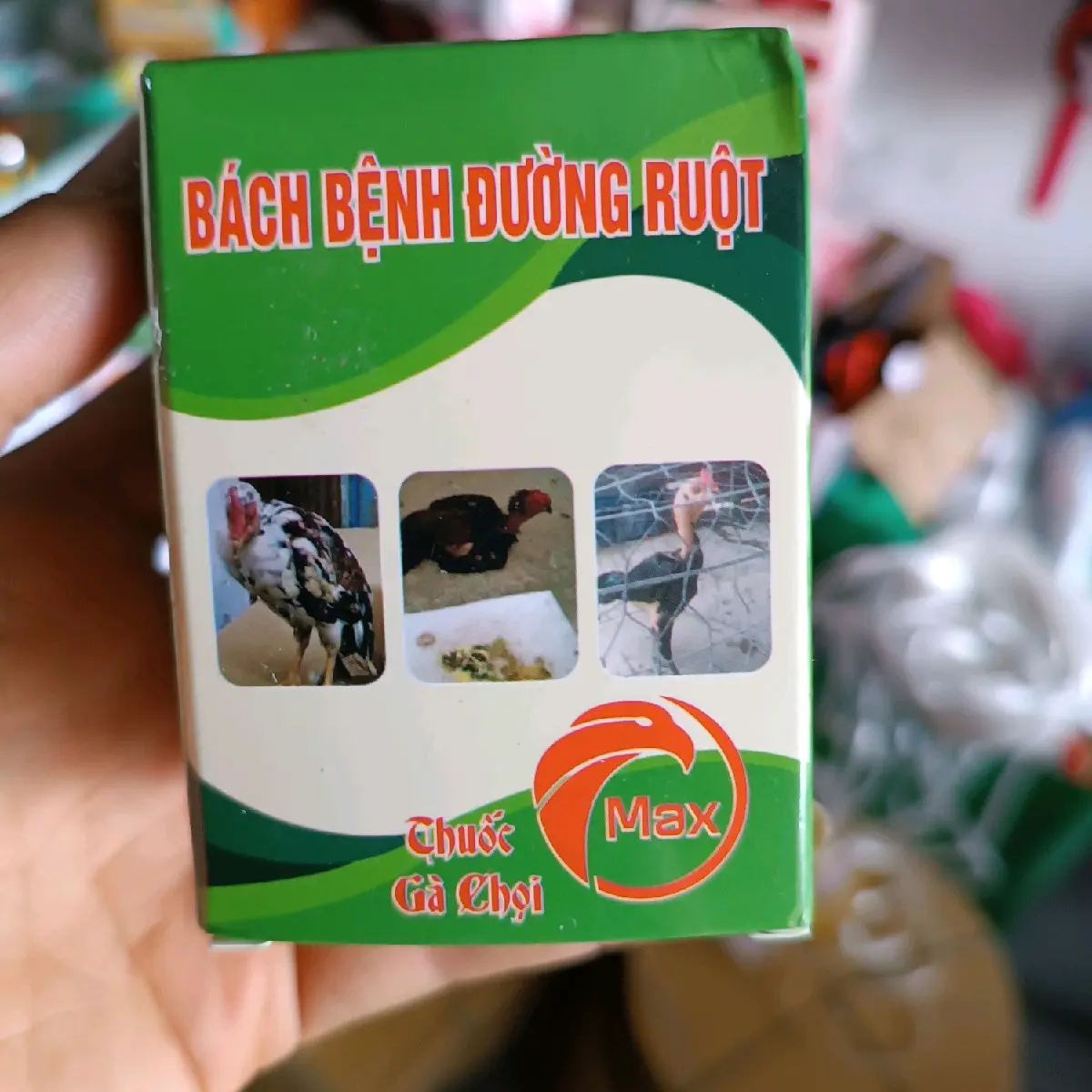 Bách bệnh đường ruột cho gà chọi