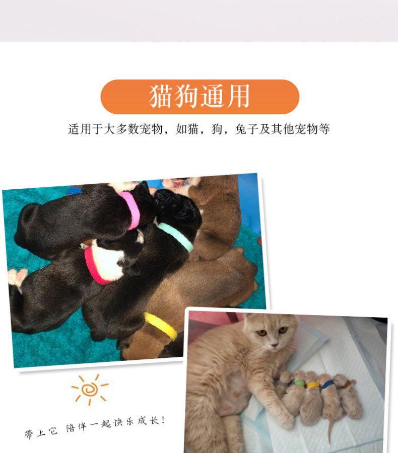 Product Introduction of Vòng Cổ Phân Loại Thú Cưng, Hàng Mới Về Năm 2025, Dành Cho Mèo Con Và Chó Con, Vòng Cổ Nhận Dạng, Thích Hợp Cho Chó Con Và Mèo Sơ Sinh, Vòng Cổ Thứ Tự Sinh, Thích Hợp Cho Chó Sữa 3