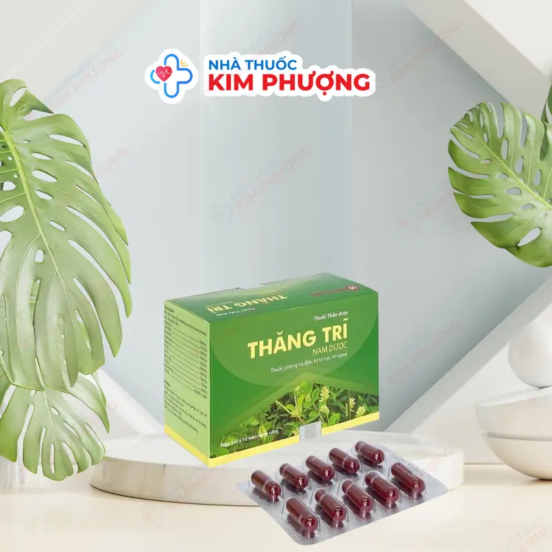 Thăng Trĩ Nam Dược Hộp 50 Viên 0