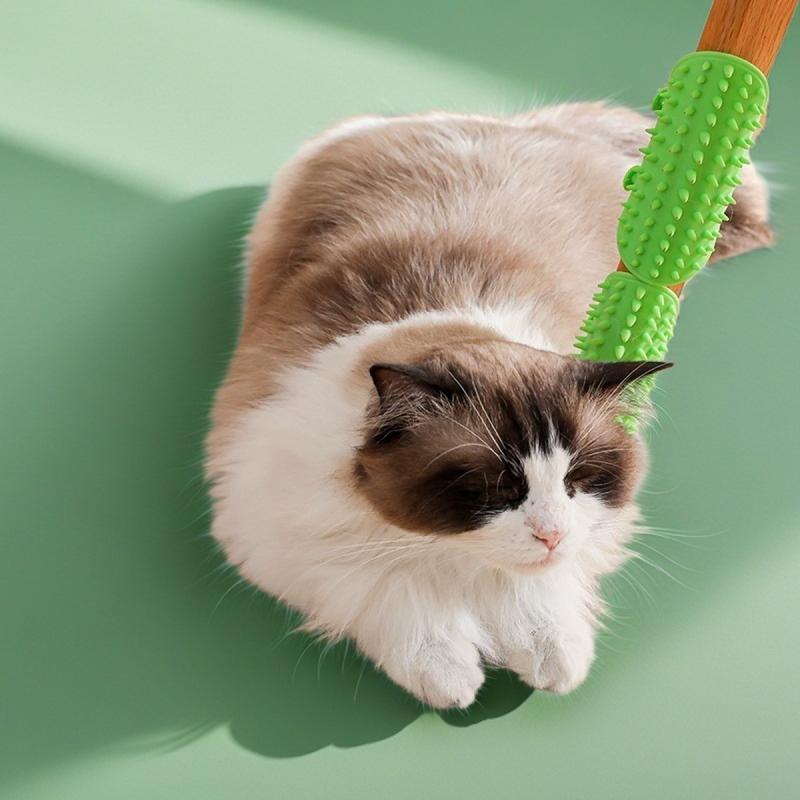 Product Introduction of Multifunctional Cat Scratching Tool Pet Scratching Tool Silicone Cat Toy Scratching Corner Table Strap Toys Cats Pet Toy 13