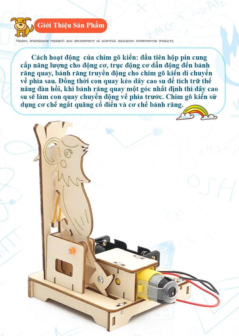 Product Introduction of Bộ Đồ Chơi Lắp Ghép STEM Mô Hình Chim Gõ Kiến, Bộ Đồ Chơi Khoa Học Tự Làm Chim Gõ Kiến, Bộ Đồ Chơi Gỗ Cao Cấp Khoa Học Tự Làm DIY Wood Steam 21