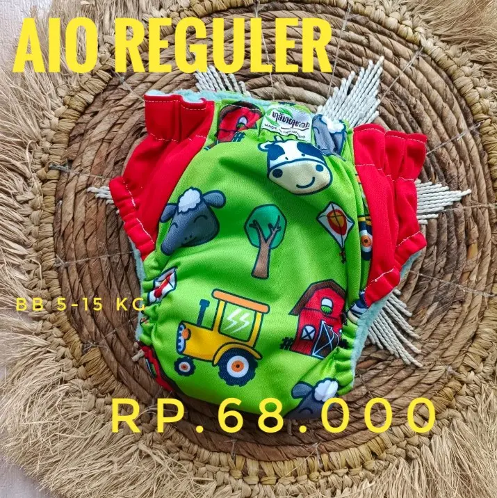 AIO REGULER