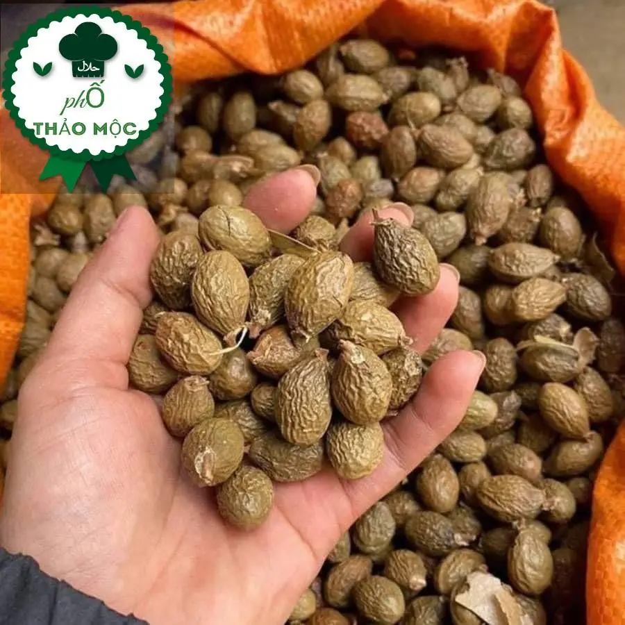 100g Hạt đười ươi bay loại 1  Phố Thảo Mộc