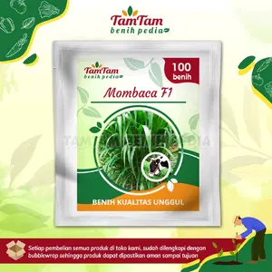 Benih Rumput Mombaca F1 Asli (100 biji) - Pakan Ternak Berkualitas Tinggi