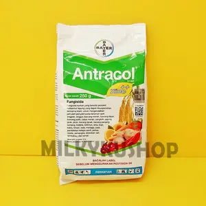 FUNGISIDA ANTRACOL 70 WP ZINC KEMASAN PABRIK 250 GRAM