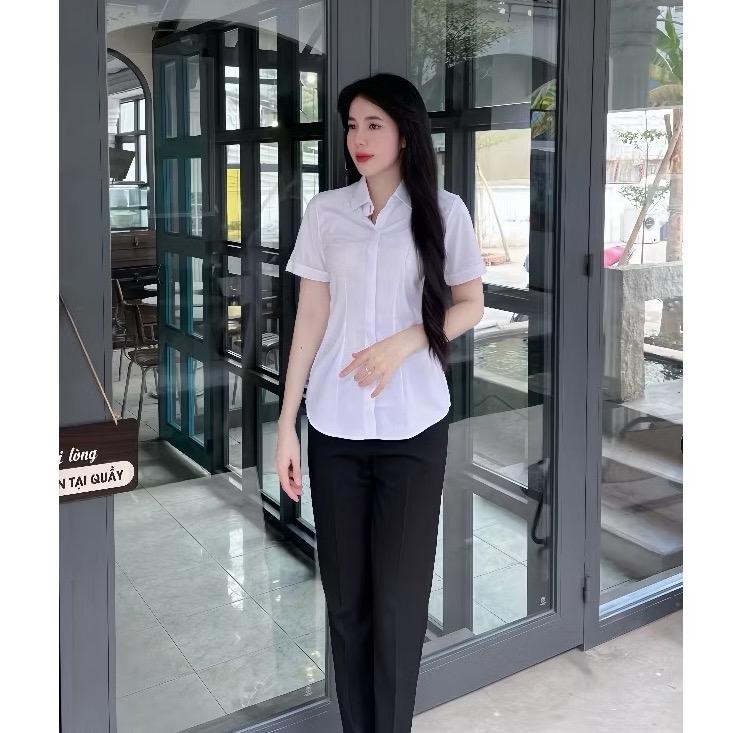 Áo Sơ Mi Nữ TAY NGẮN KHÔNG TÚI Học Sinh Đồng Phục Cấp 2 Cấp 3 Công Sở - Màu Trắng Xanh l L.VIVIAN