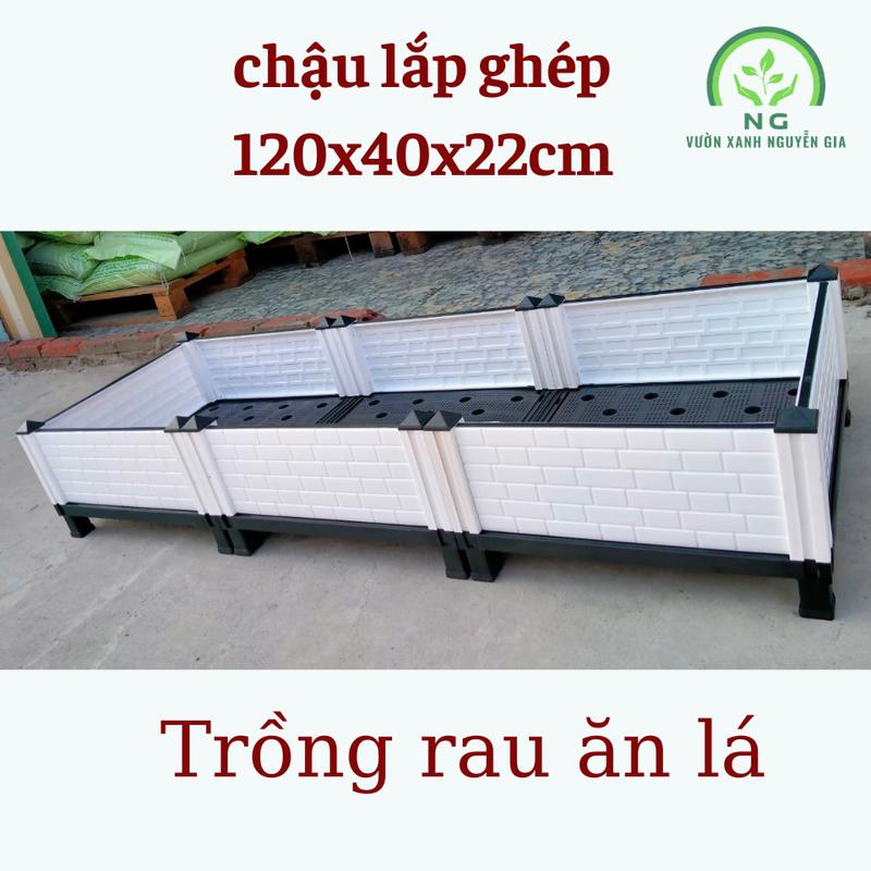 Chậu lắp ghép trồng cây thông minh D120 x R40 x C22cm (vách cao 13cm) trồng rau, hoa kiểng chậu  nhựa