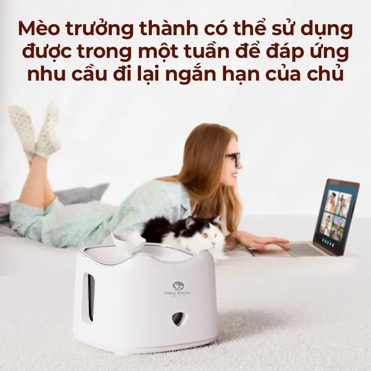 Máy uống nước tự động an toàn cho mèo Fairy Marina, máy lọc nước chó mèo chống giật điện thiết kế công thái học, máy uống nước cho mèo, đài phun nước bình nước tự động cho mèo lọc sạch bụi bẩn giá rẻ dễ dàng vệ sinh - Fairy Marina 6