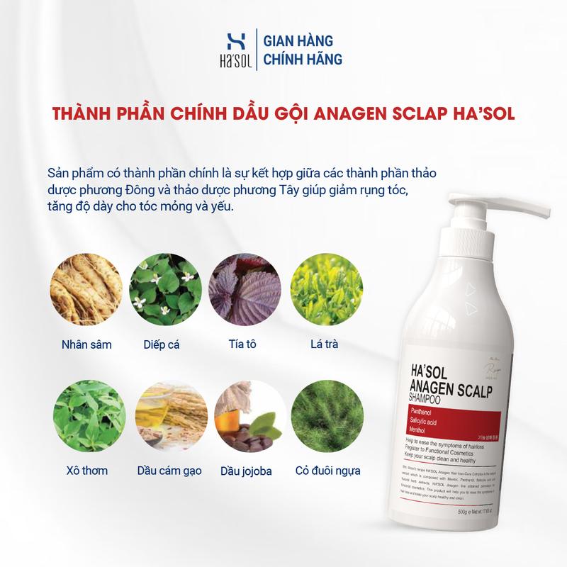 Product Introduction of Dầu Gội HA'SOL Ngăn Rụng Tóc, Hỗ Trợ Mọc Tóc Dành Cho Tóc Rụng, Mỏng Và Yếu Anagen Scalp Shampoo 500g Nam Nữ 13