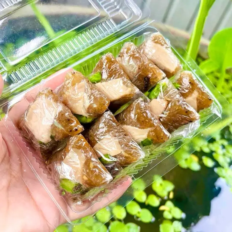 Combo 6 hộp nem bì thịt Miếng nâu - Đặc Sản Lai Vung - Nem Lai Vung Huỳnh Hậu - Sản phẩm OCOP 3 Sao - 1 hộp 10 cái 170g