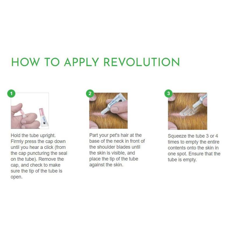 100% Quality Revolution Spoton Fleas Ticks Treatment For Dogs All Size 1