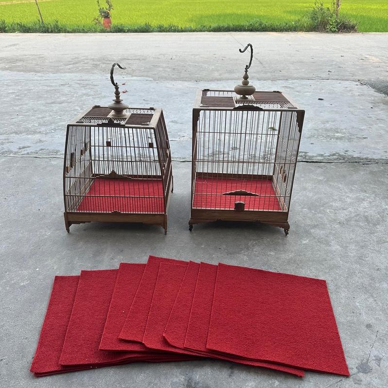  10 tấm thảm tái sử dụng vitamin chim bố lồng lót 