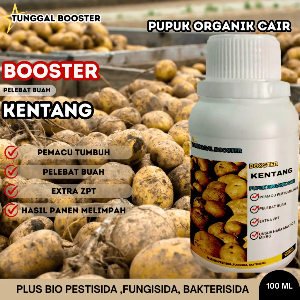 PUPUK ORGANIK CAIR TANAMAN KENTANG, BOOSTER PELEBAT BUAH KENTANG, PUPUK PERANGSANG MASA PEMBUAHAN