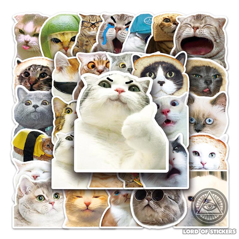Set 50 Sticker Meme Mèo Cute Hài Hước, Hình Dán Chống Thấm Nước Trang Trí Mũ Bảo Hiểm, Ván Trượt, Laptop, Xe, Vali, Sổ