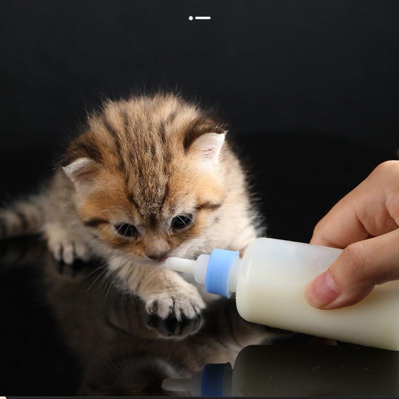 Product Introduction of 60ml Pet Milk Bottle Set Pet Silicone Milk Bottle Dog and Cat Feeding Water dispenser Pet Supplies 8