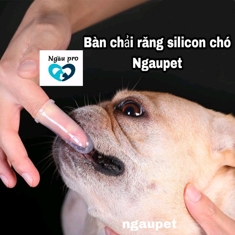 Bàn chải đánh răng cho chó mèo mềm xỏ ngón tay bằng silicon kèm hộp xịn xò Ngaupet 0