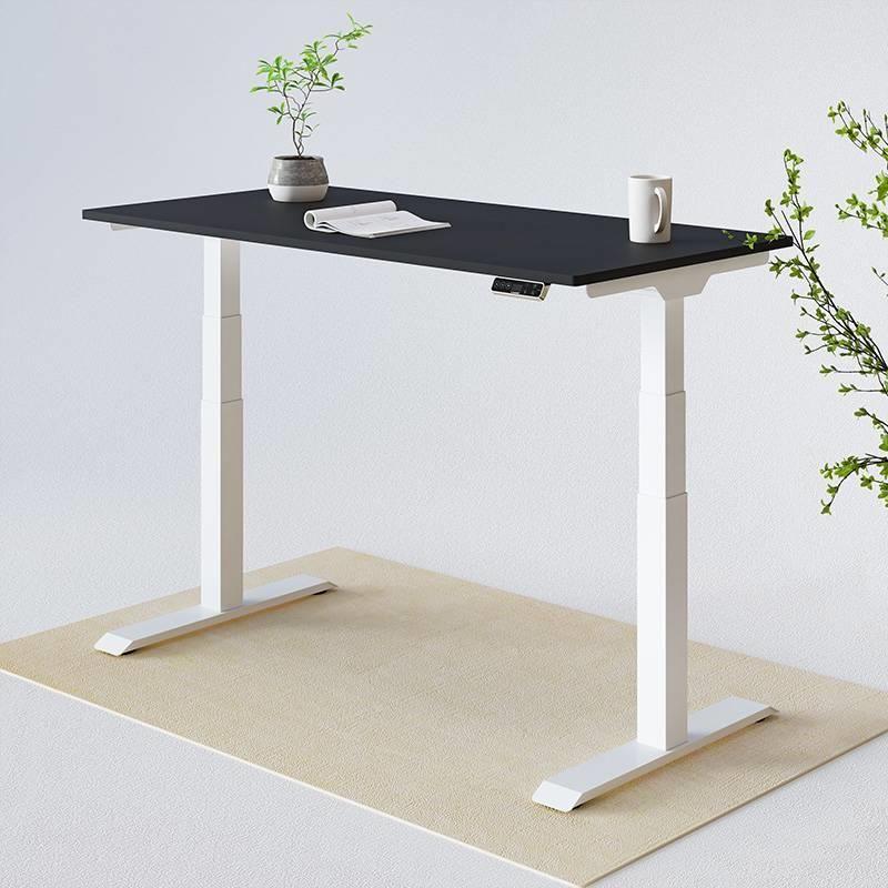 [DERGO HN] Bàn Làm Việc Đứng Flexispot (Premium Plus- 3 Stages - T Leg) - E7 2