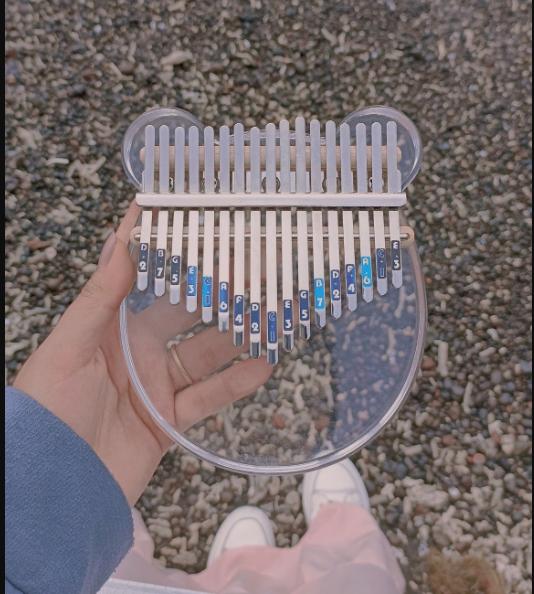 SIEU RE TIKTOK ĐÀN KALIMBA TRONG SUỐT GẤU GIÁ RẺ CHO BÉ Đồ Chơi Mẫu Mới 2023 CHỈ SALE HÔM NAY ĐÀN KALIMBA TRONG SUỐT GẤU GIÁ RẺ CHO BÉ