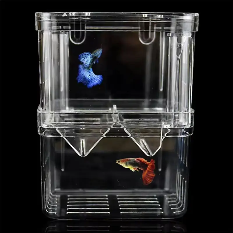 Hộp Ấp Cá Con, Acrylic Hai Lớp, Tự Nổi, Hộp Ấp Chim Công, Hộp Ấp Cá Đuôi Dài, Hộp Cách Ly, Thích Hợp Cho Cá Chiến Đấu, Trại Cá 2