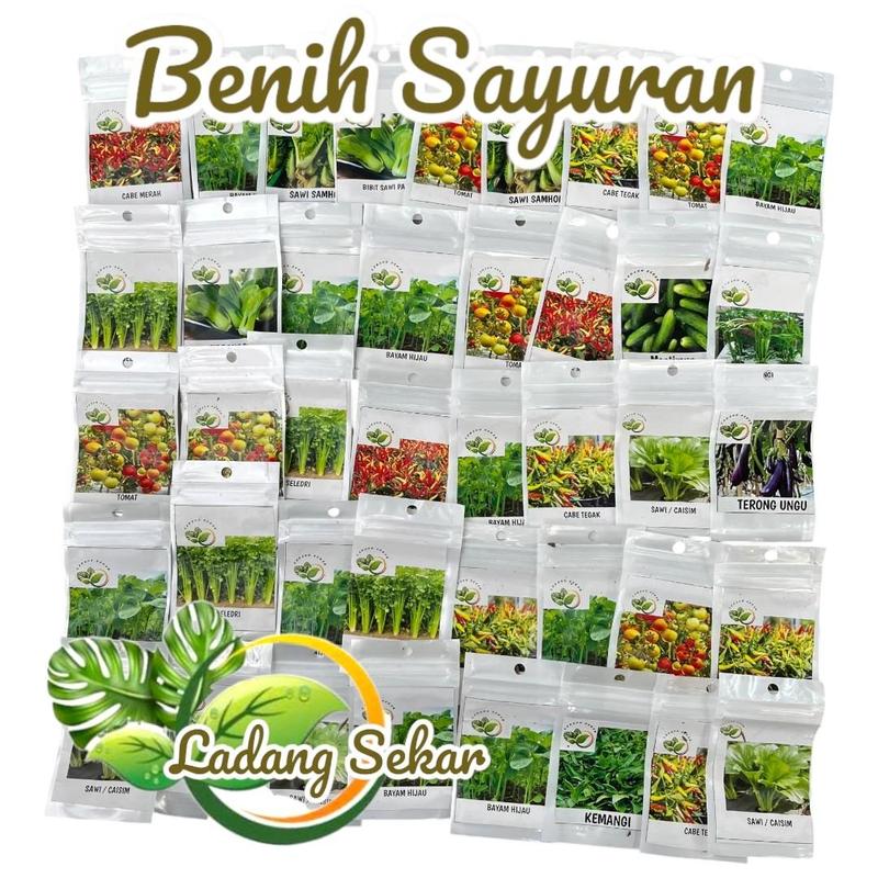 Product Introduction of PAKET 20 MACAM BNIH Sayuran Premium + Bonus + Bibit Sayuran Lengkap + Bibit Unggul Siap Tanam Media Termudah 5
