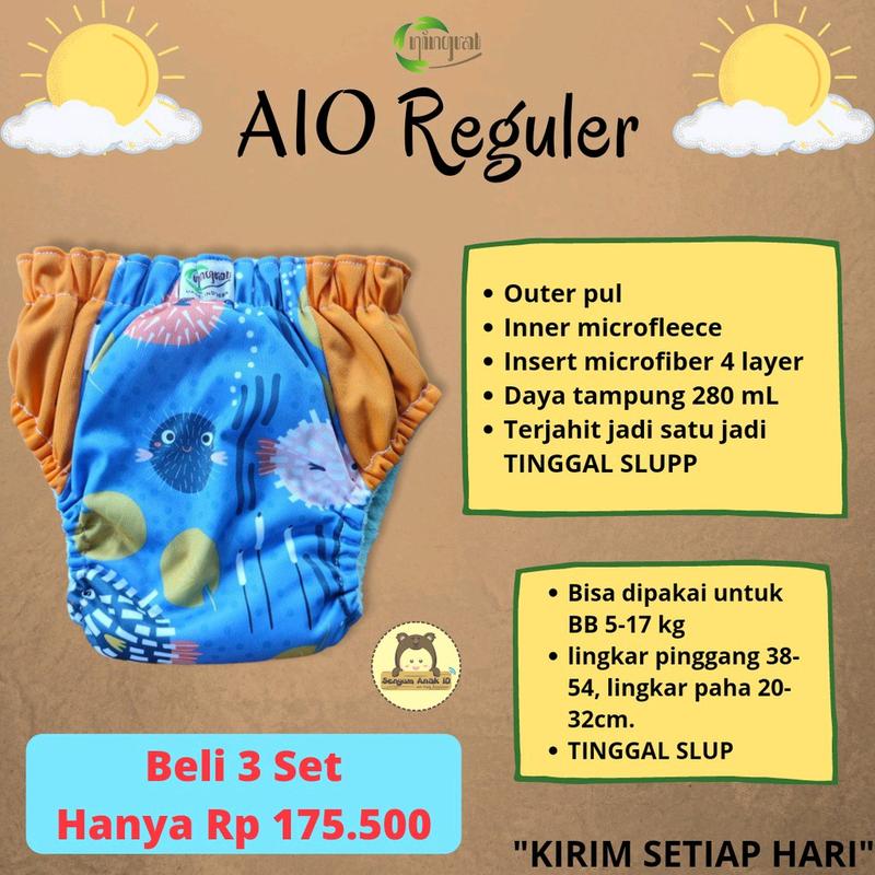 Paket Hemat Clodi AIO Reguler Ningrat 4