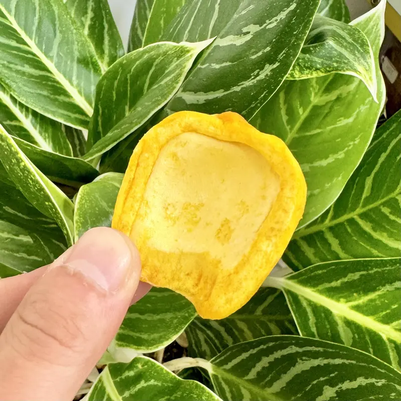 Combo 4 Mít Sấy Cao Cấp A+ AnFood Siêu Ngon Giòn Xốp (mỗi túi 100G) thay thế Đồ Ăn vặt, Bim Bim Snack Thức Ăn không sate đồ ăn nhẹ khô 4