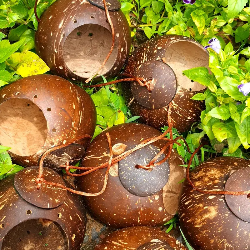 Tổ chuột Hasmter gáo dừa mài bóng/ Ổ chuột /Tổ ngủ gáo dừa 4