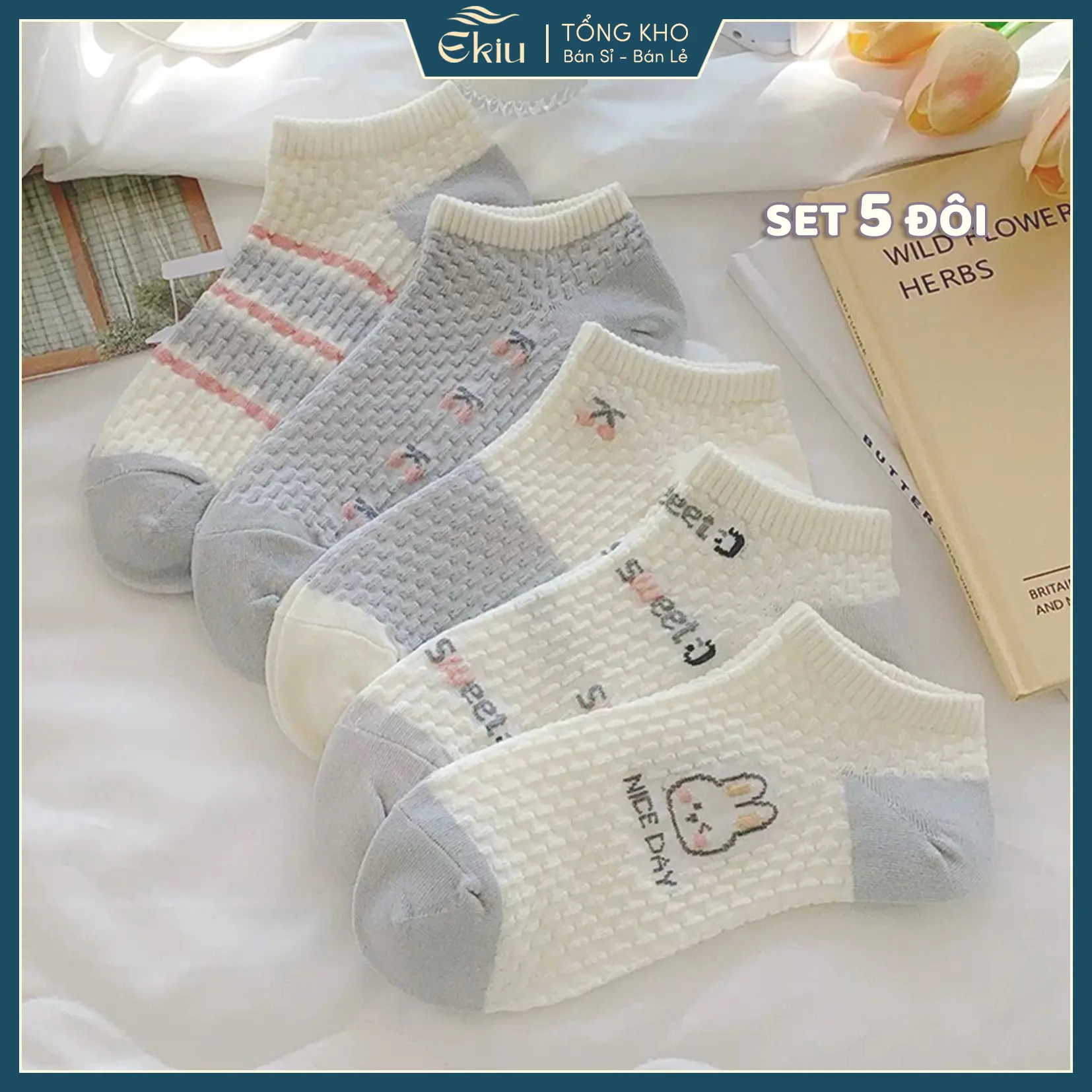 Tất vớ nữ cổ ngắn phong cách Hàn Quốc dễ thương, set 5 đôi vớ cotton - Ekiu Shop