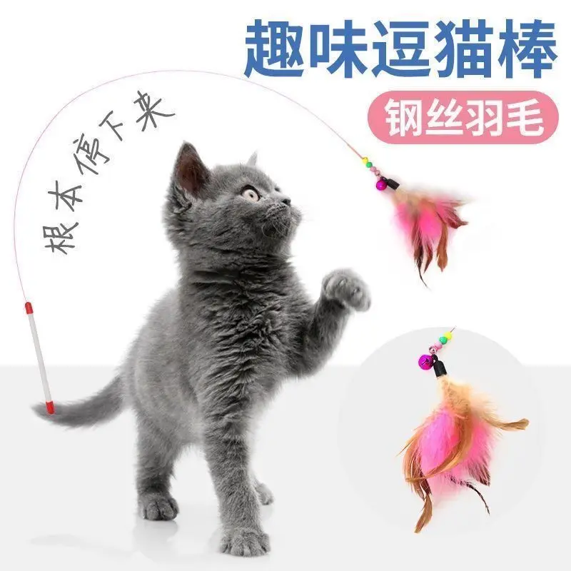 Đồ Chơi Trêu ghẹo Mèo, Mới, Giá Đỡ Bàn Chải Dài, Lông Vũ Có Chuông, Đồ Chơi Mèo Vui Nhộn, Thích Hợp Cho Mèo Thú Cưng, Giảm Buồn Chán, Bộ Sưu Tập 14000 Người, Năm 2025