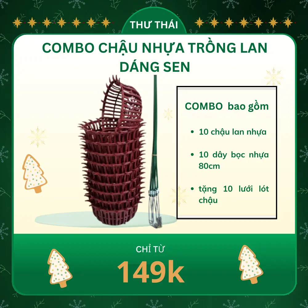 10 chậu lan nhựa dáng SEN + 10 móc bọc nhựa ( tặng 10 lưới lót hoặc thêm 1 chậu ) lưu ý : kích thước chậu là đo phủ bì