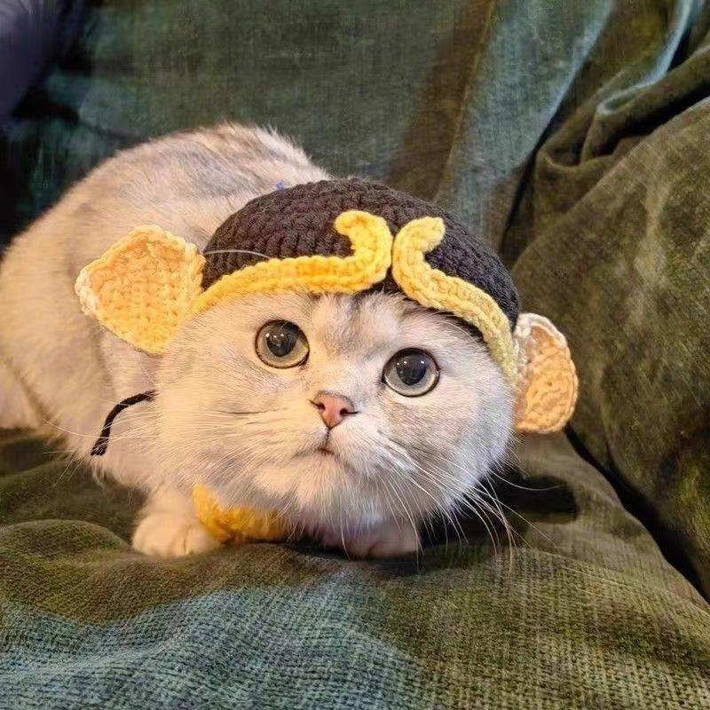 Cat hat, pet hat, puppy hat, cute and funny pet cross dressing hat 3