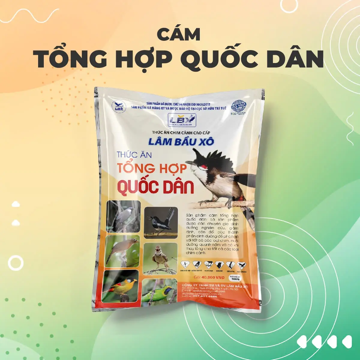 CÁM TỔNG HỢP QUỐC DÂN cao cấp LBX/500gr nuôi nhiều loại chim/tiết kiệm chi phí/cách chăm đơn giản/tối ưu hiệu quả