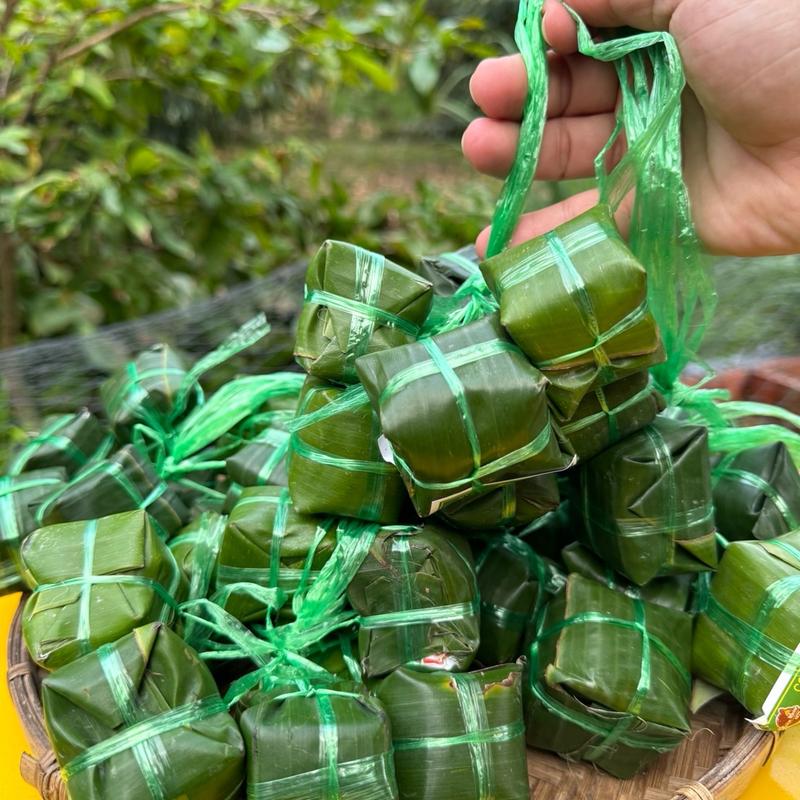 60 Nem Gói Lá Viên 180gr/10 chiếc Đặc Sản Lai Vung Chính Gốc ( Đọc tờ hướng dẫn để nem ăn hợp khẩu vị )