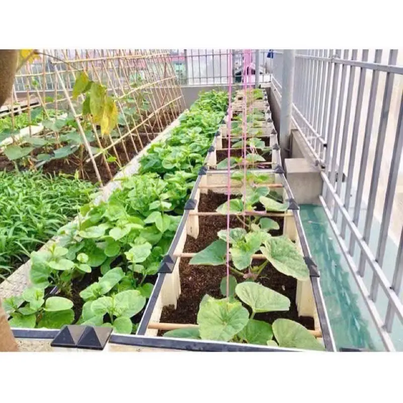 10kg mụn sơ dừa chưa nén đất sạch hữu cơ vi sinh dinh dưỡng cho hoa cho cây trồng cây cảnh rau củ 2